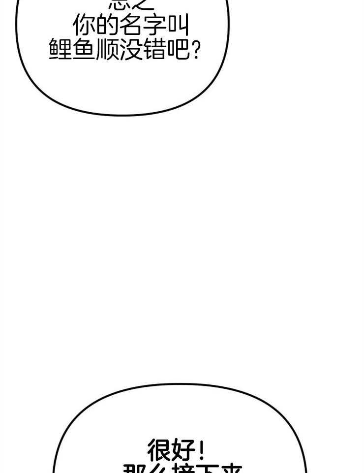 47.jpg