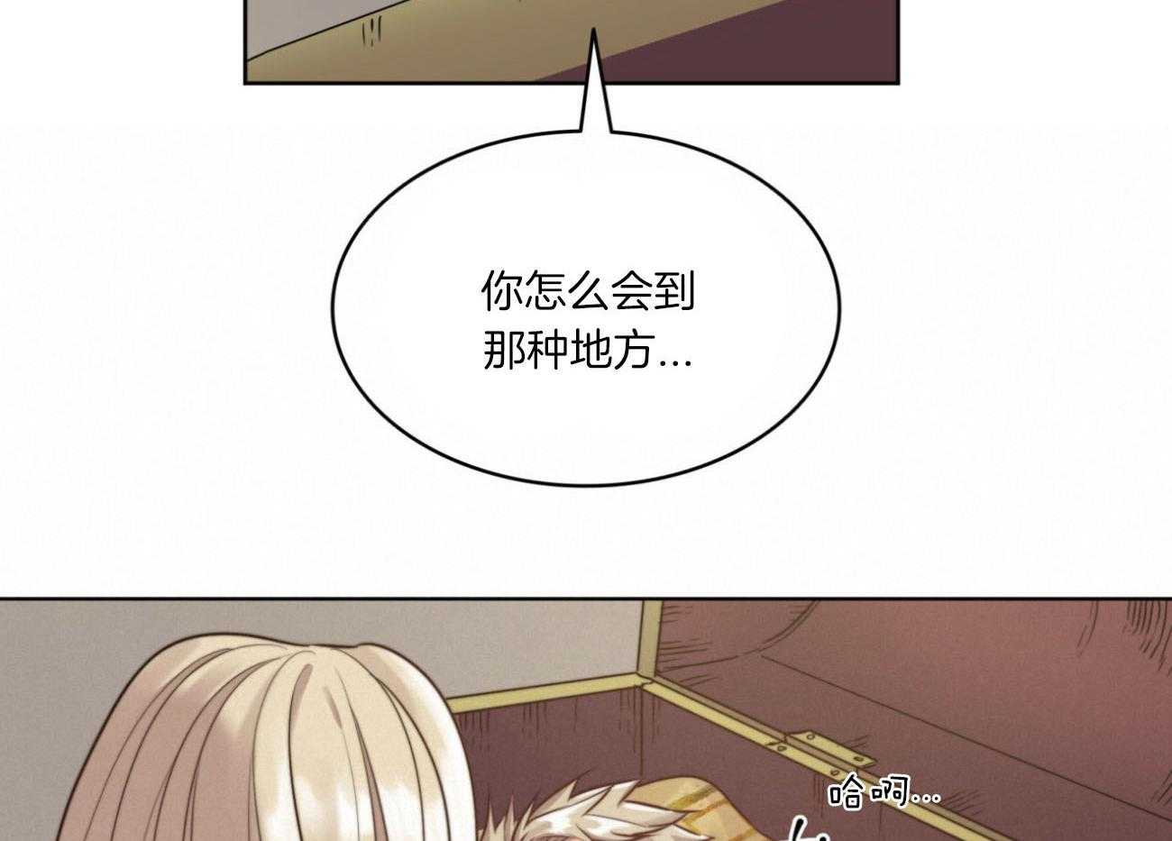 41.jpg