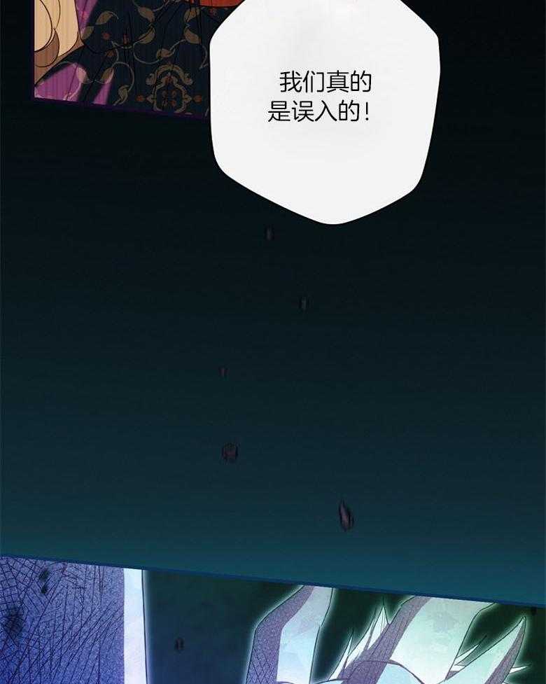 42.jpg
