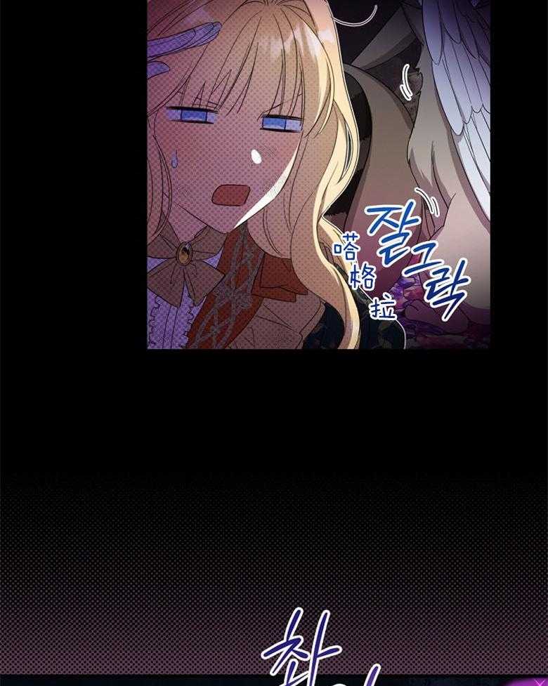 28.jpg