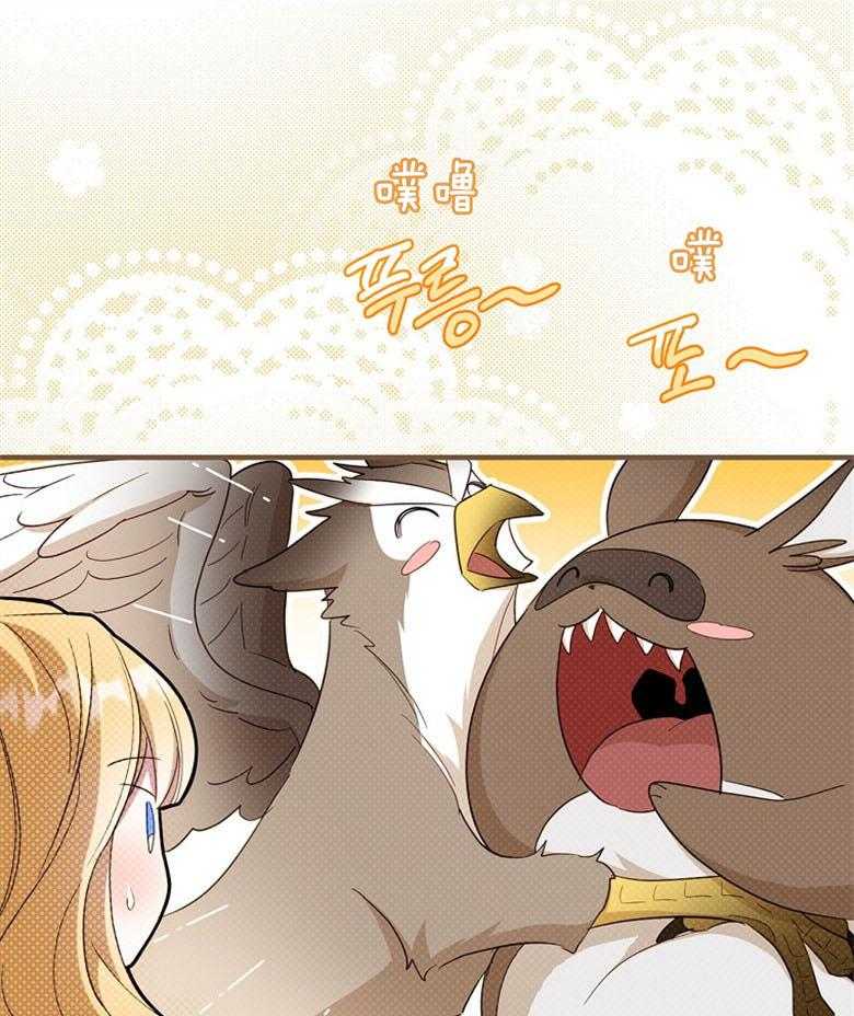 51.jpg