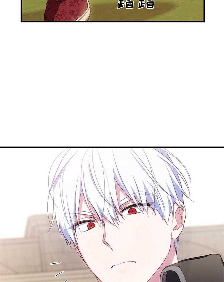 41.jpg