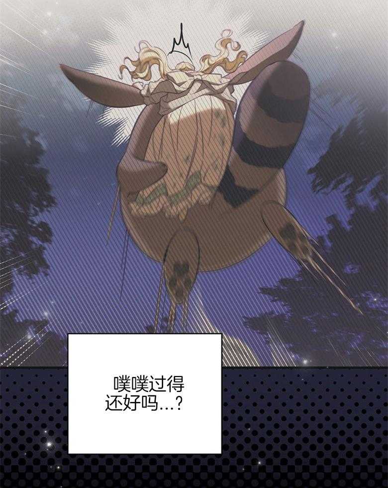 51.jpg