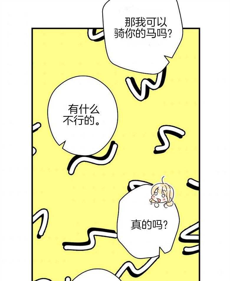 37.jpg