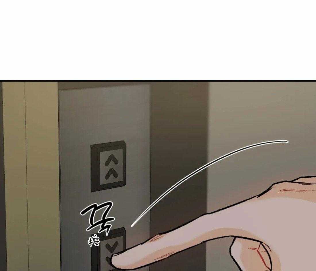 41.jpg