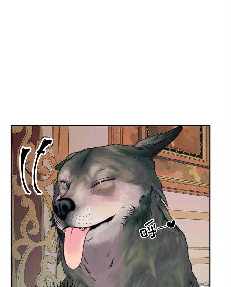34.jpg