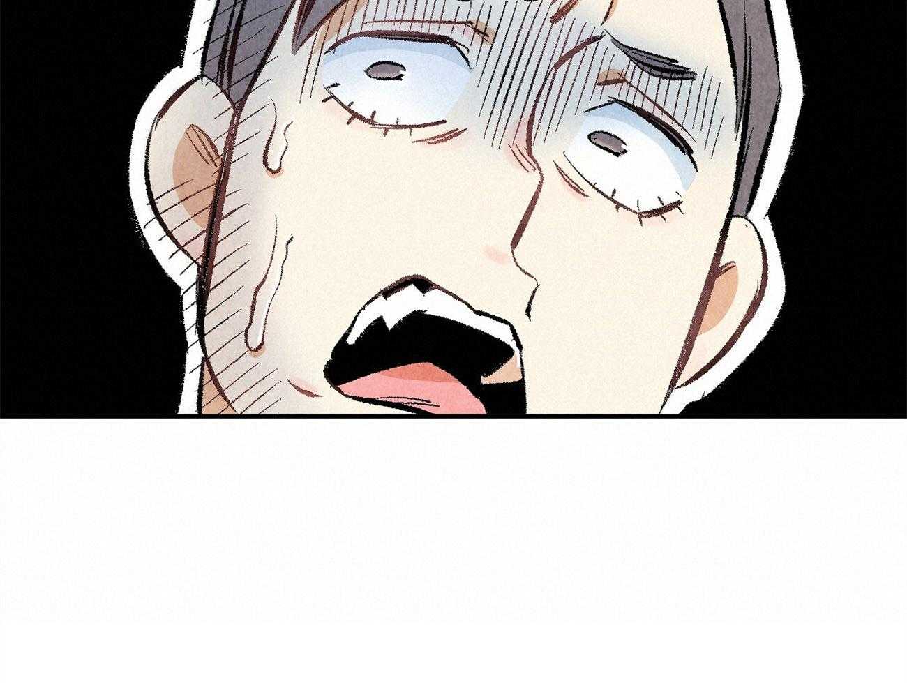 81.jpg