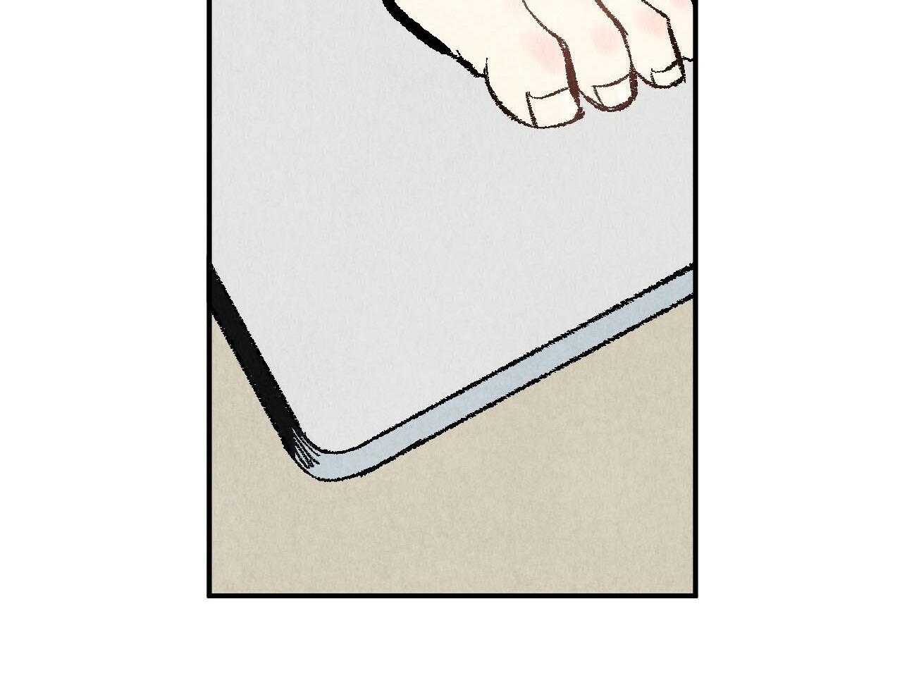 54.jpg