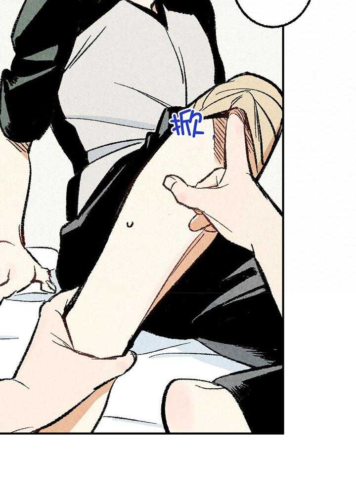 37.jpg