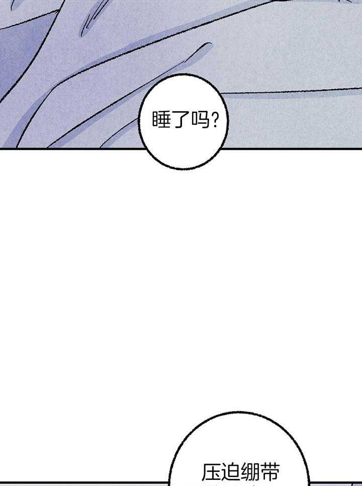 33.jpg