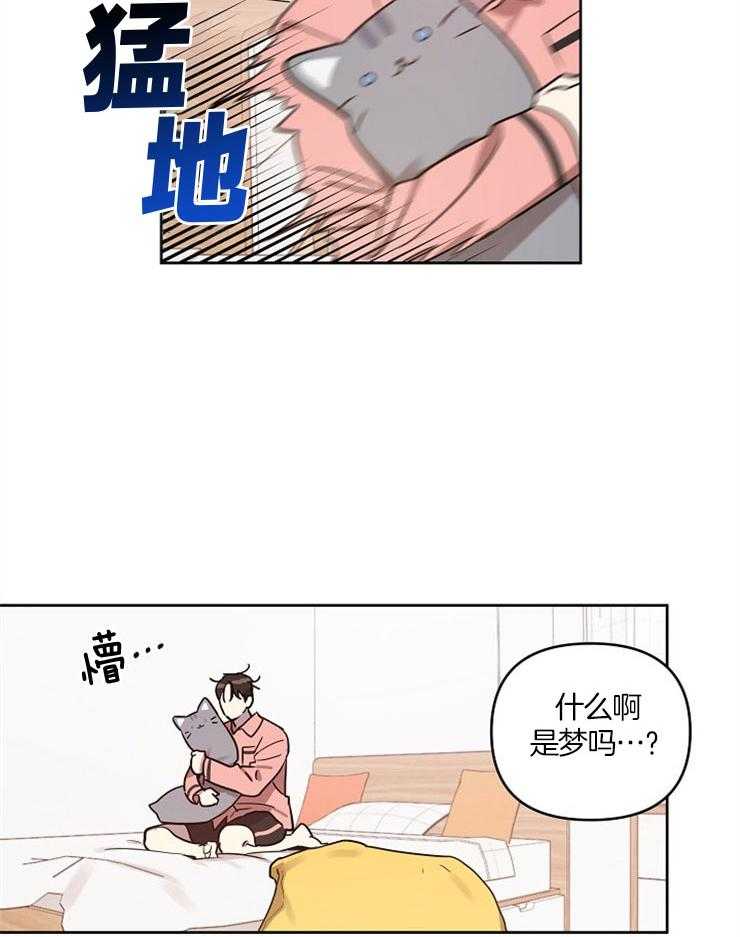 23.jpg