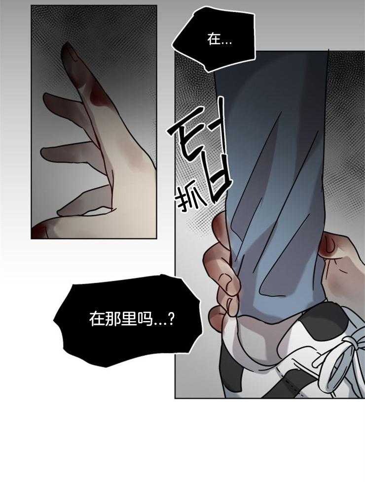 12.jpg