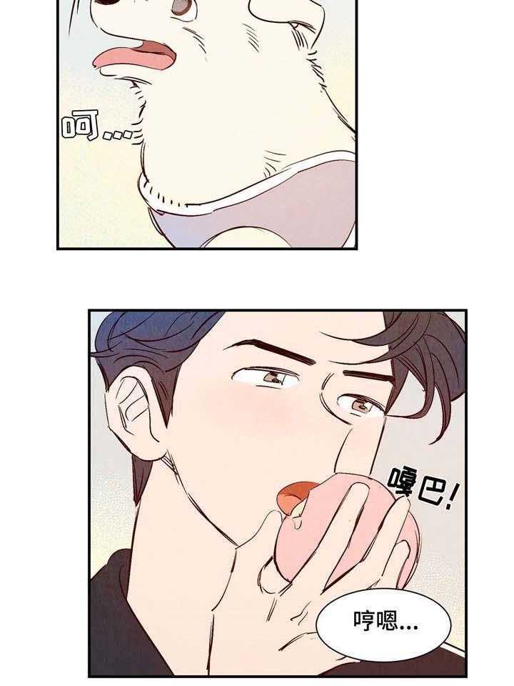 14.jpg