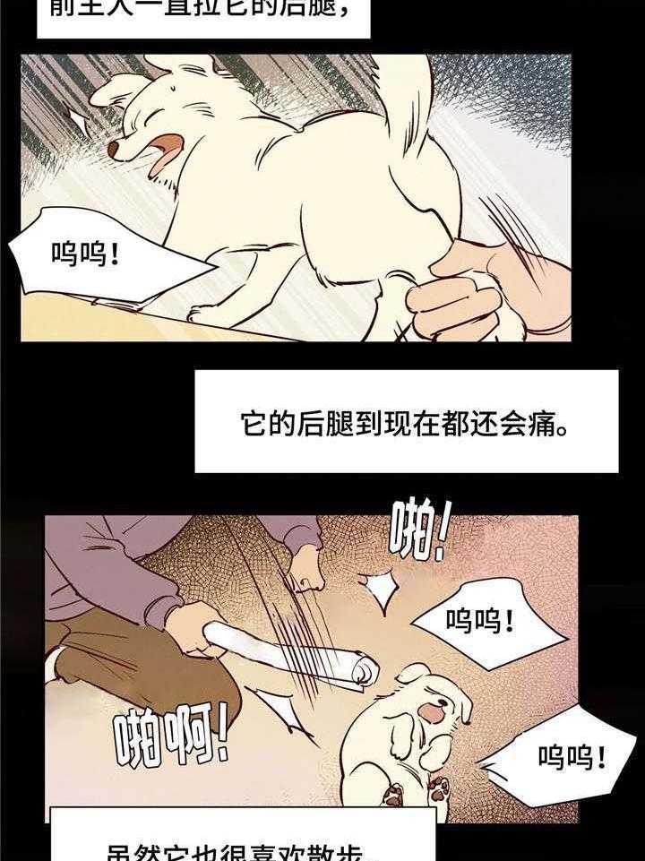 15.jpg