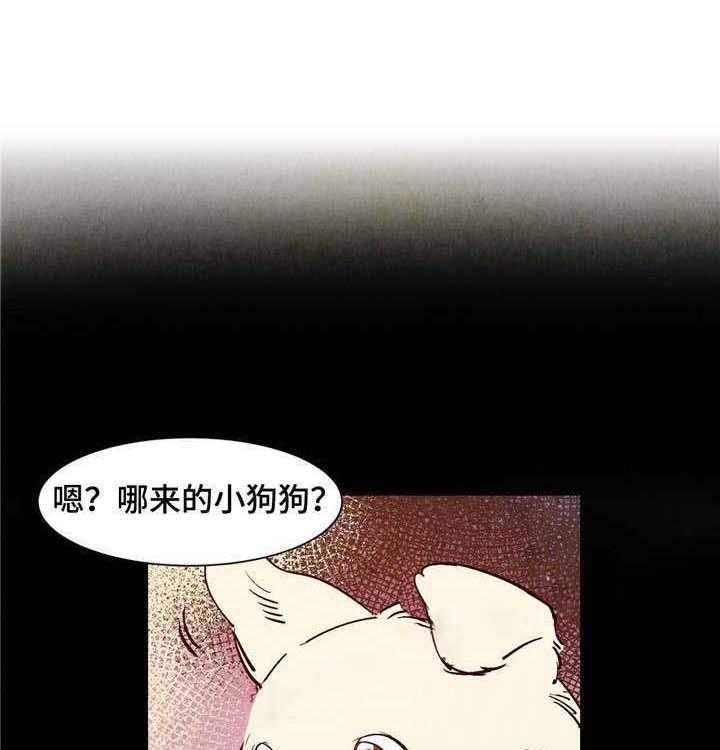 17.jpg