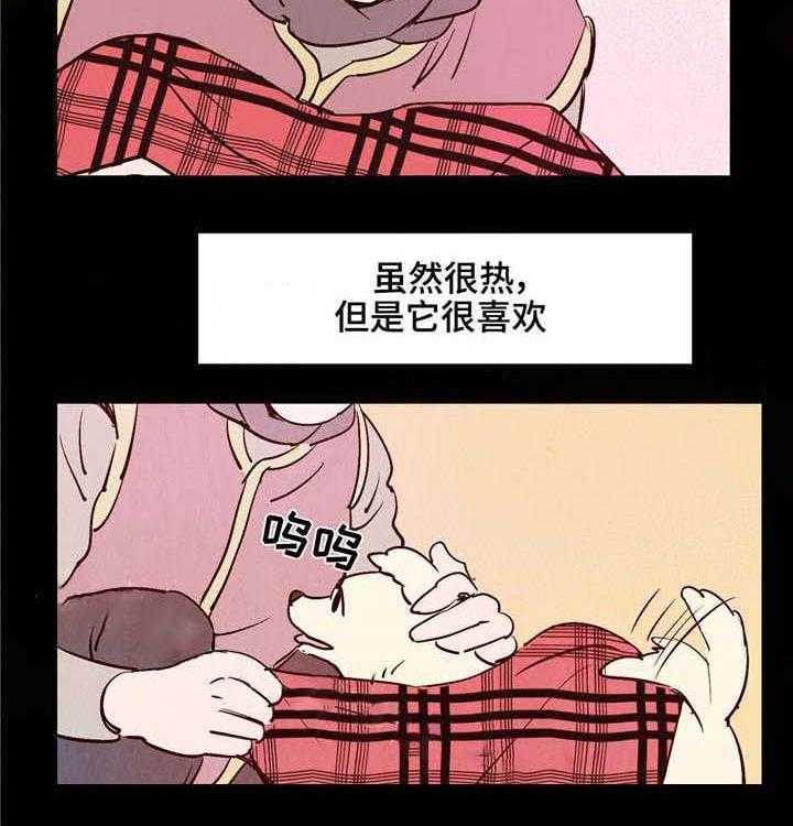 19.jpg