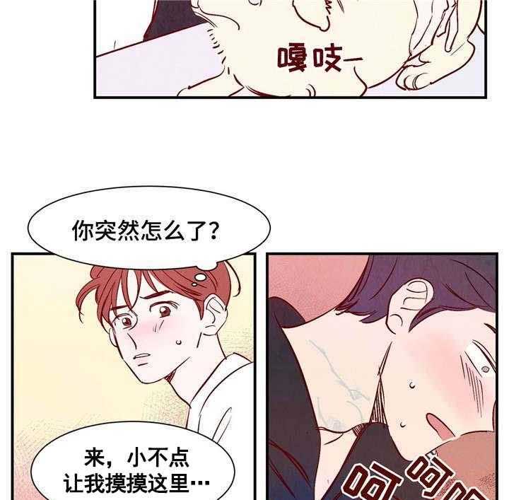 21.jpg