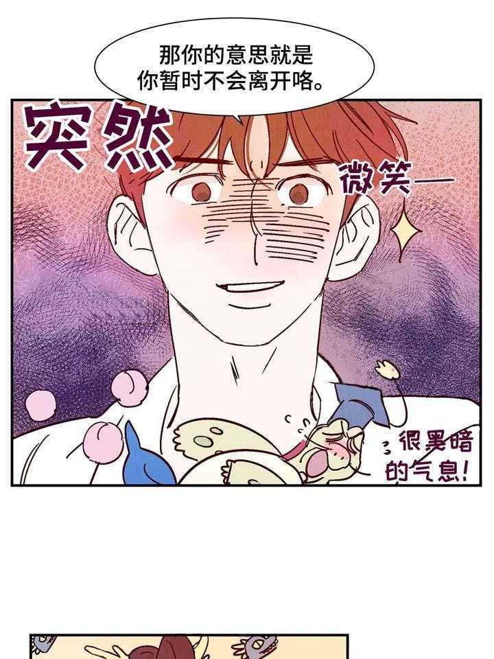 13.jpg