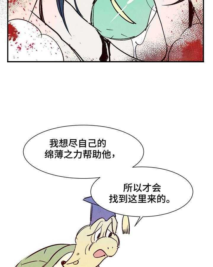 15.jpg