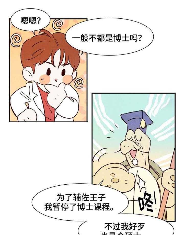 15.jpg