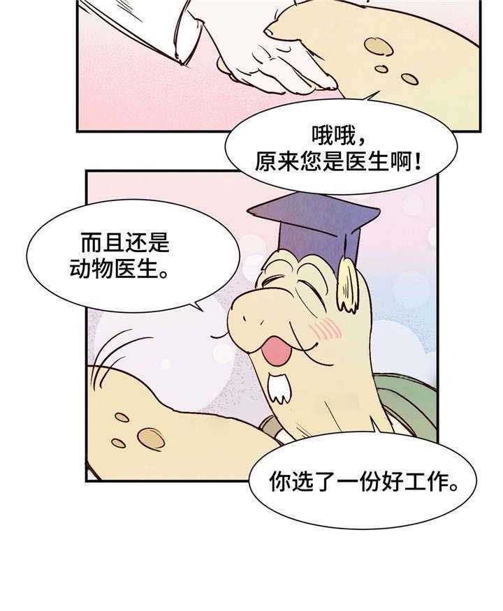 18.jpg