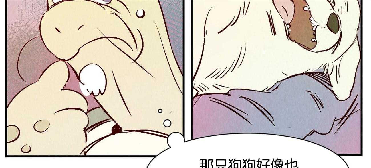 36.jpg