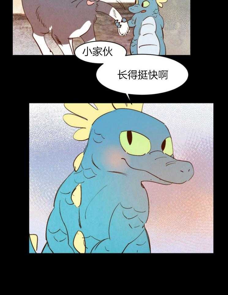 19.jpg