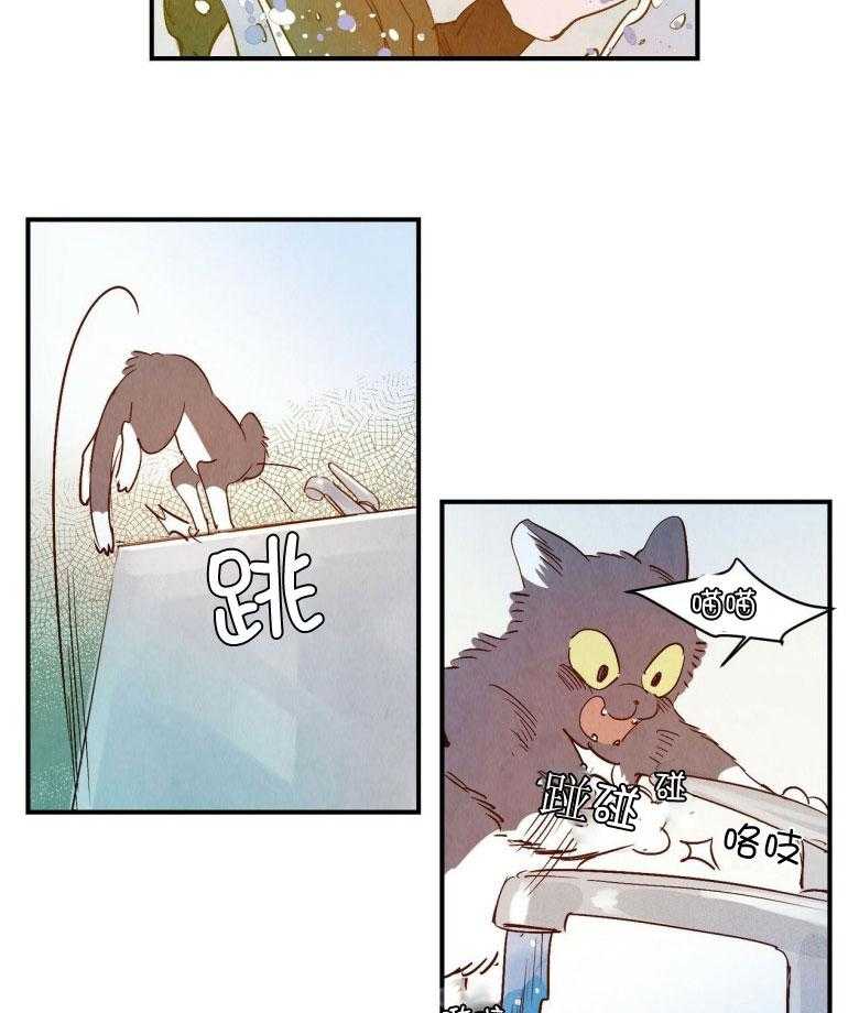 23.jpg