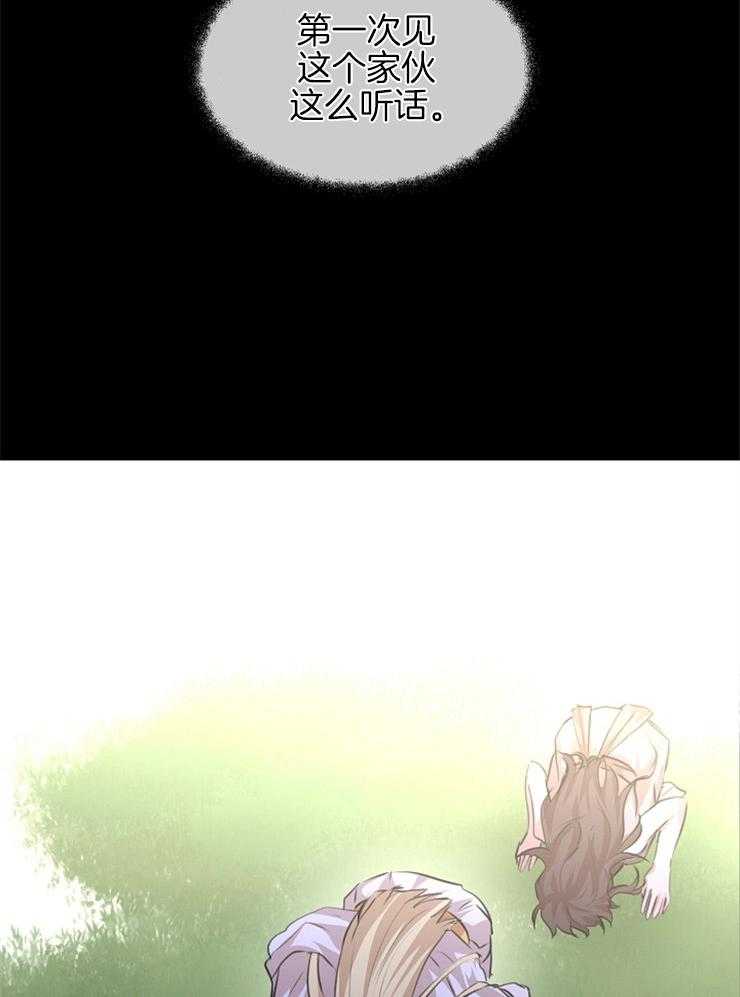 31.jpg
