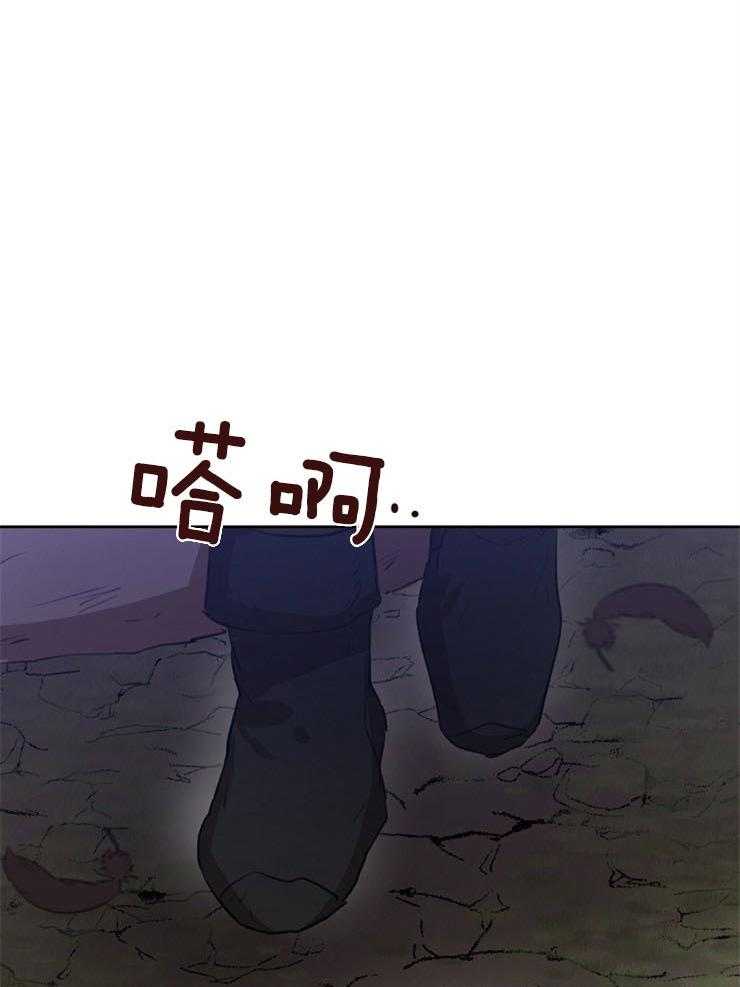 24.jpg