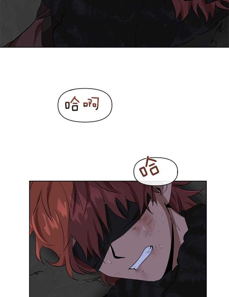 26.jpg