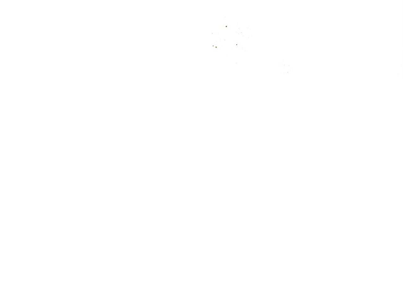 78.jpg