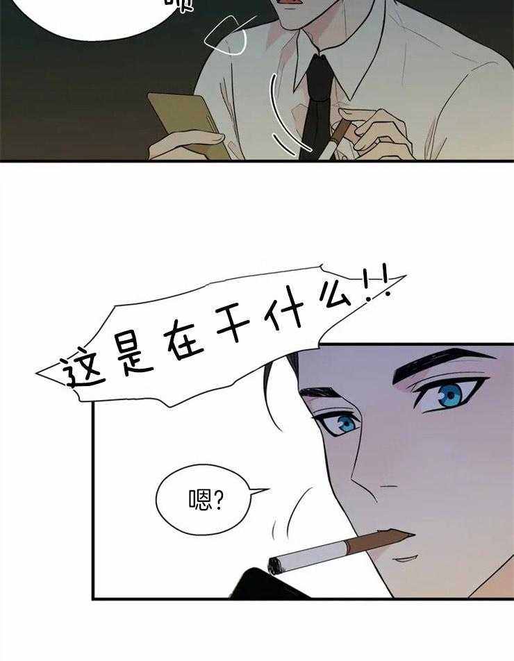 24.jpg