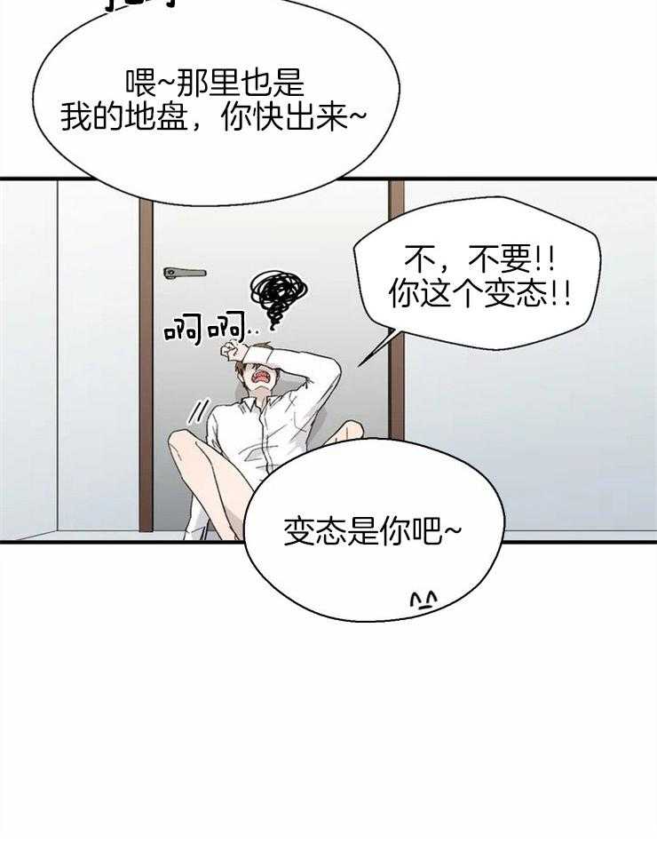 26.jpg