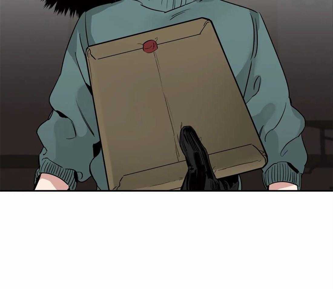 48.jpg