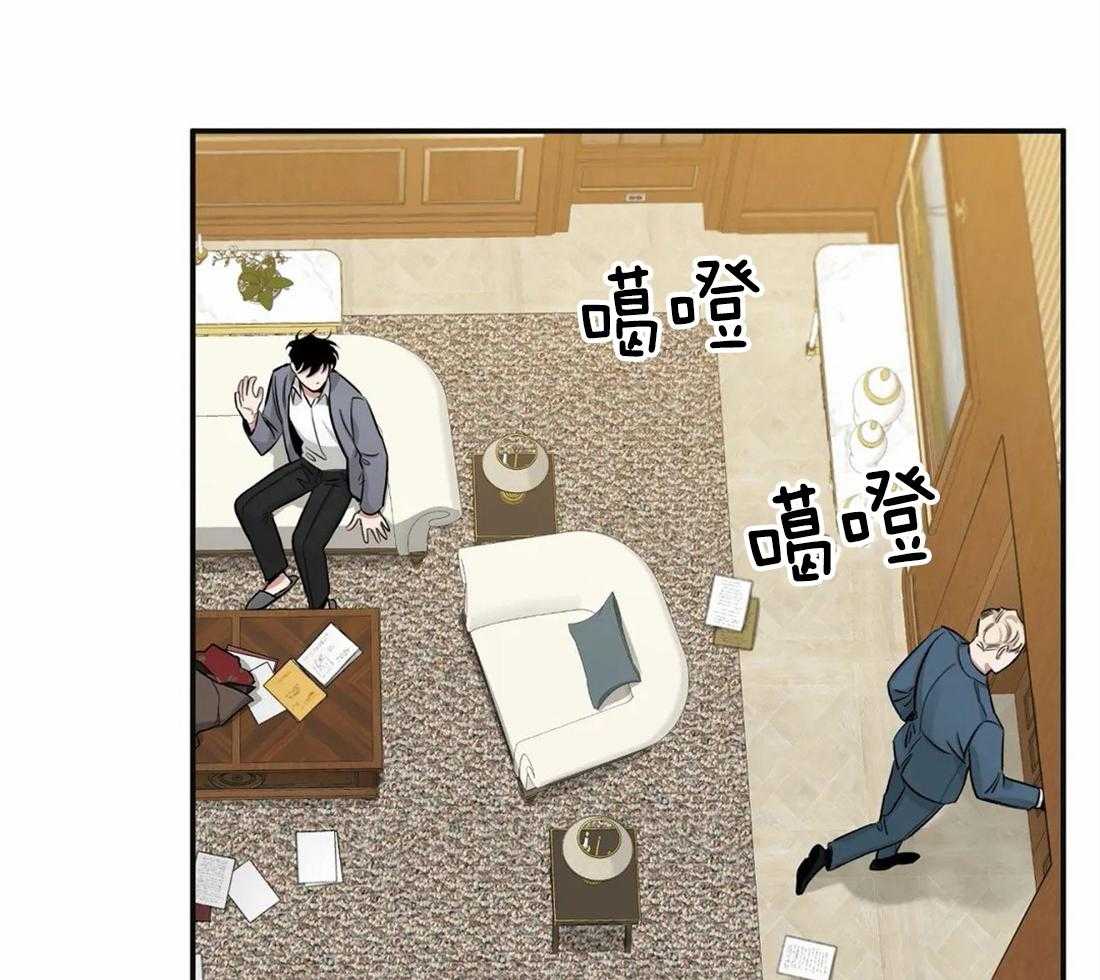 47.jpg