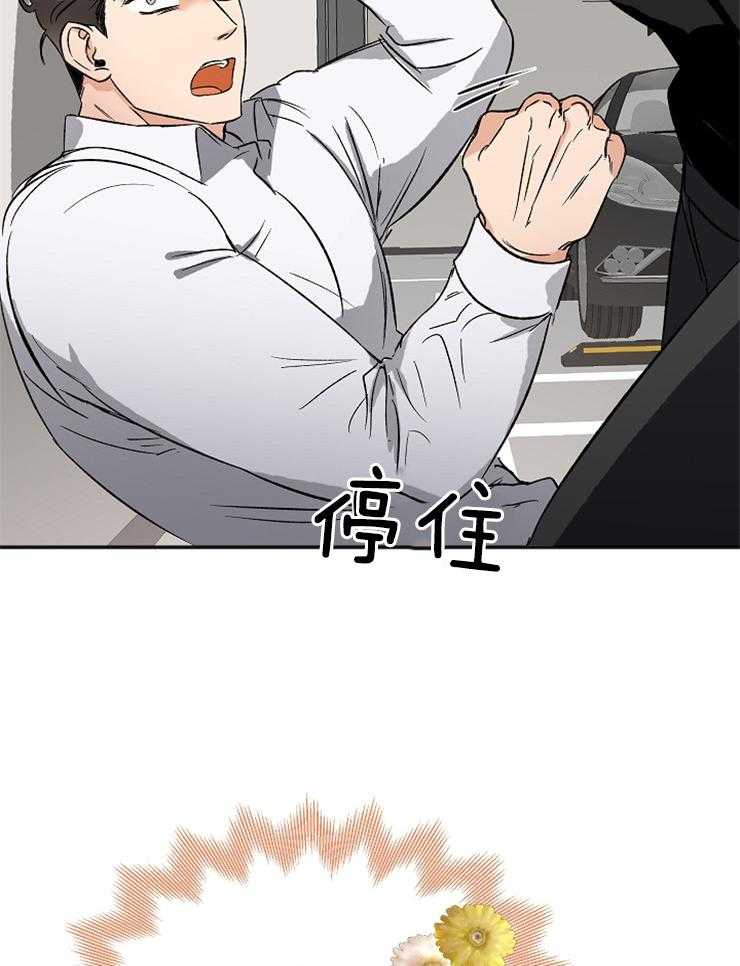 48.jpg