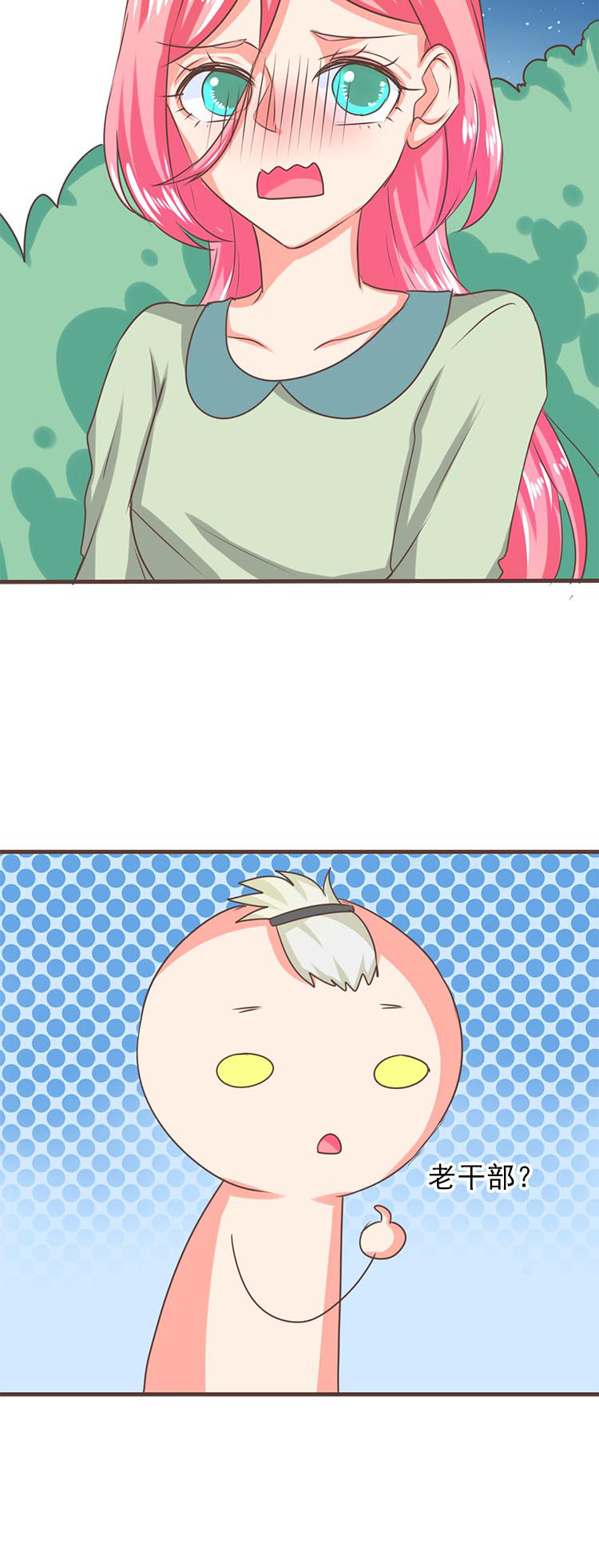 11.jpg
