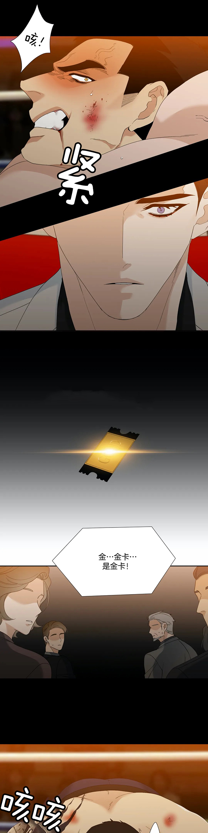 5.jpg