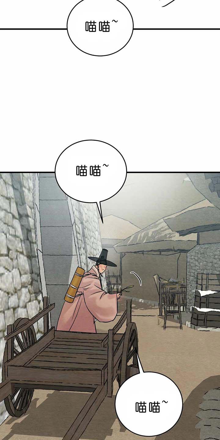 41.jpg