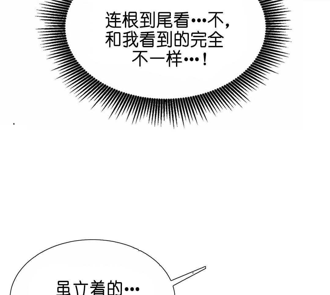 95.jpg