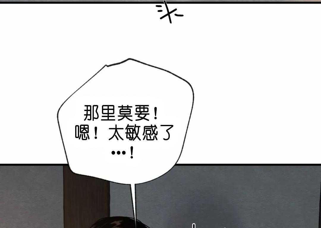 103.jpg