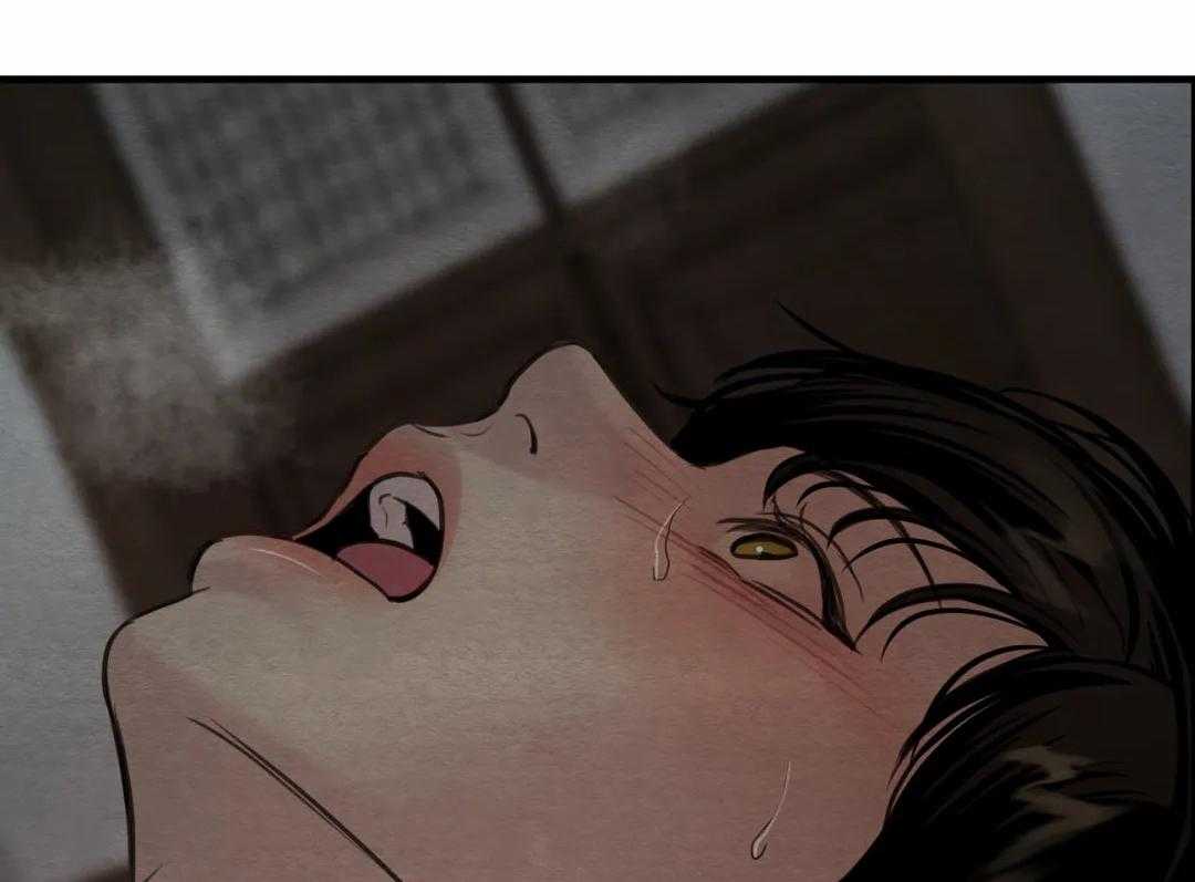 96.jpg