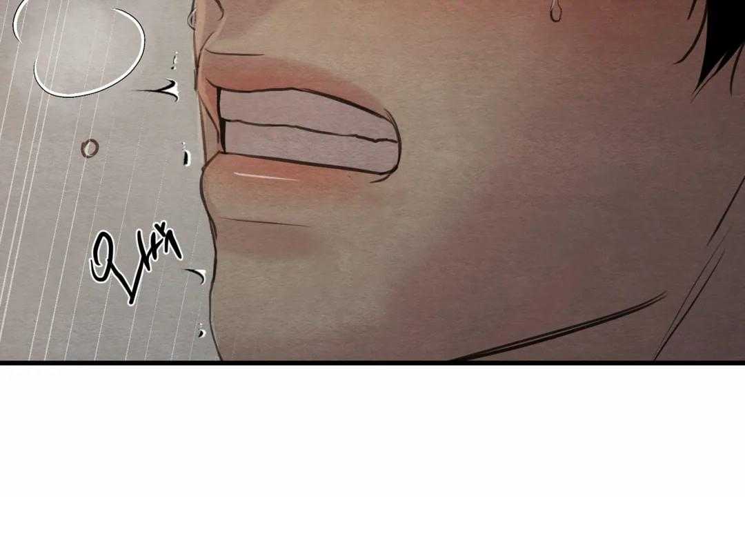 78.jpg