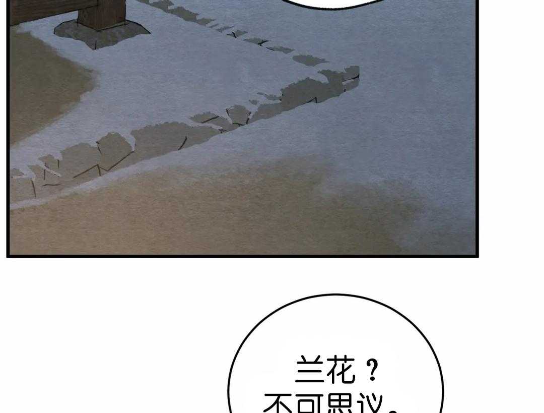 95.jpg