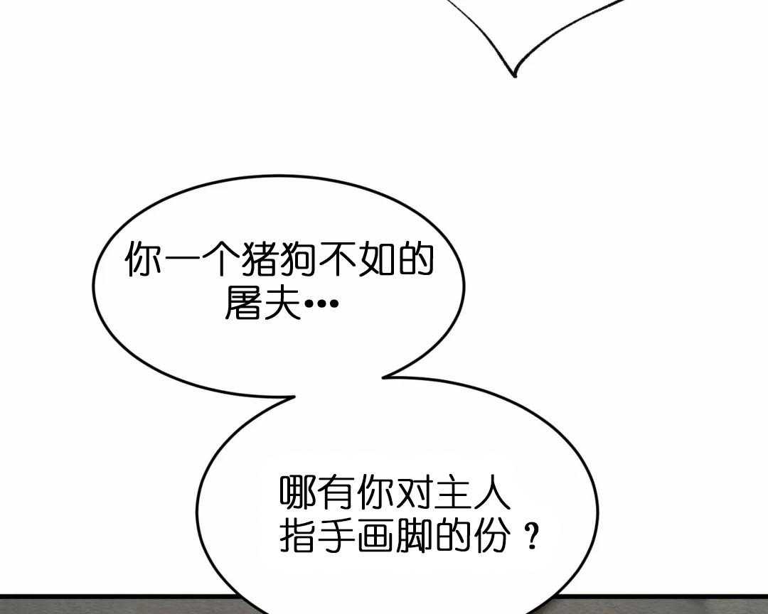 96.jpg