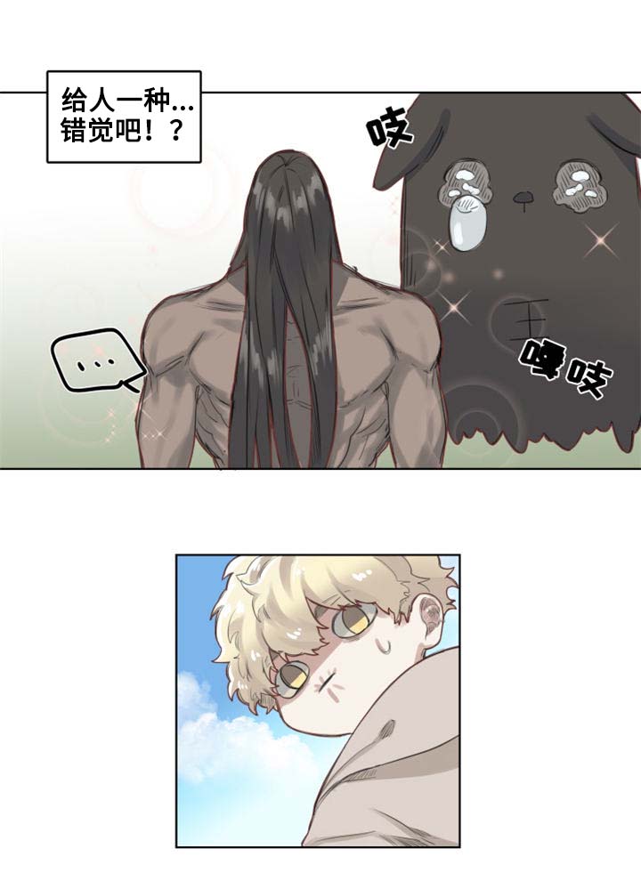 11.jpg