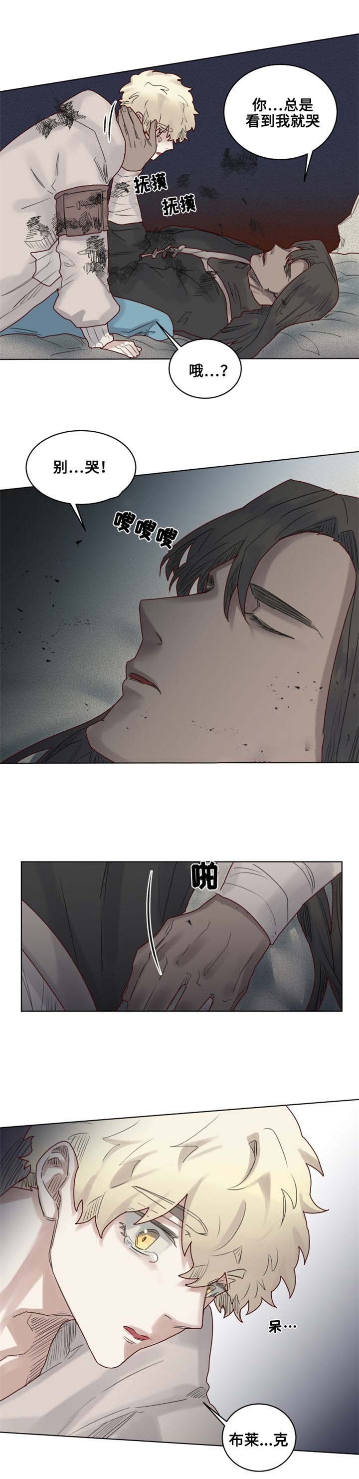 1.jpg