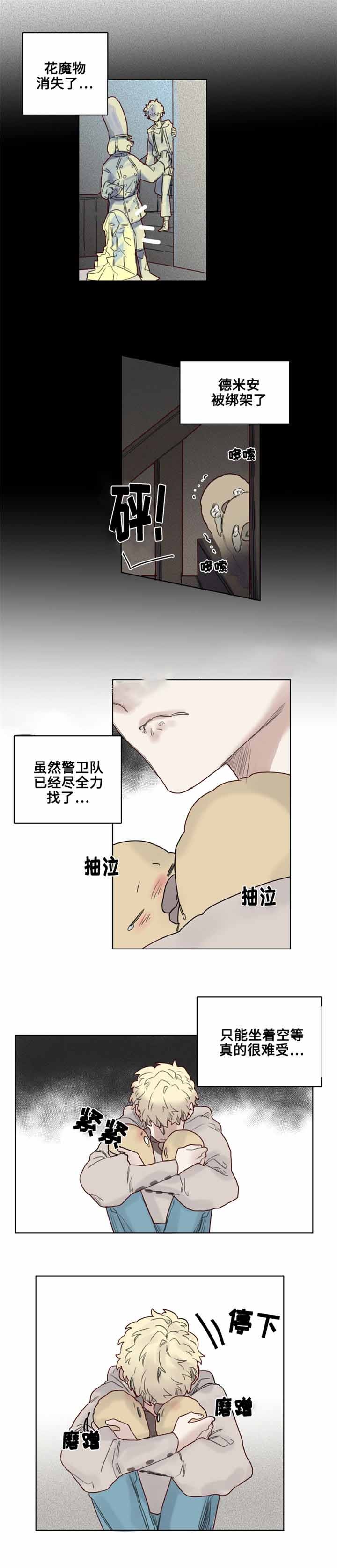 5.jpg