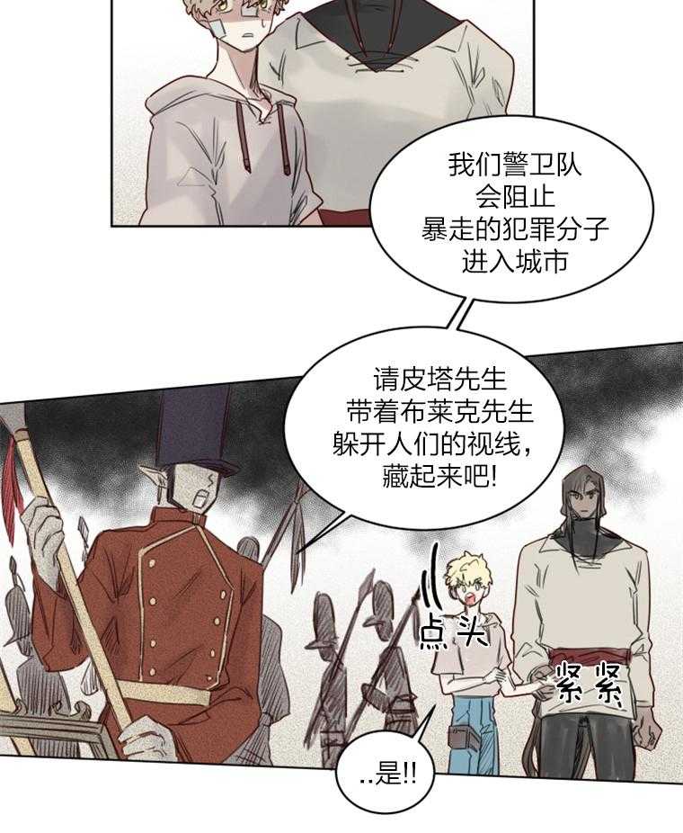 13.jpg
